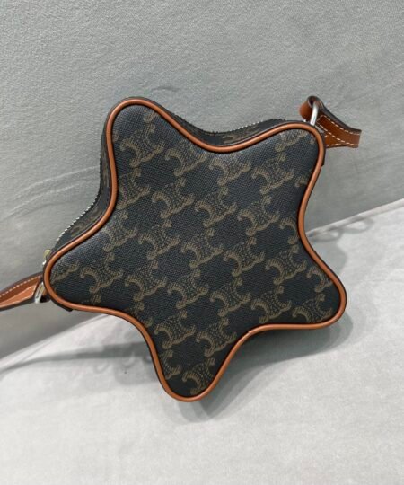 Celine Small Etoile In Triomphe Canvas Brown For Women 7in/18cm 198762BZJ.04LI