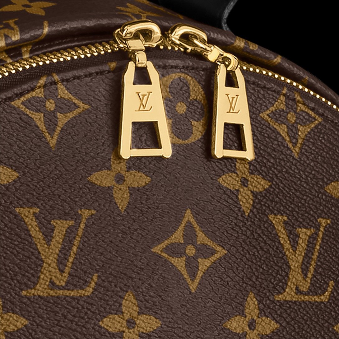 Louis Vuitton Palm Springs MM Backpack For Women M44874- 33 Cm/ 13 Inches - Image 6