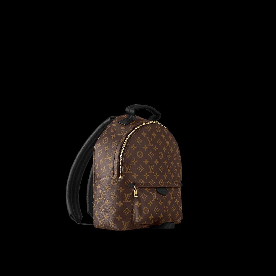 Louis Vuitton Palm Springs MM Backpack For Women M44874- 33 Cm/ 13 Inches - Image 5