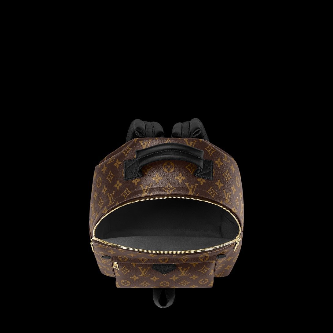 Louis Vuitton Palm Springs MM Backpack For Women M44874- 33 Cm/ 13 Inches - Image 4
