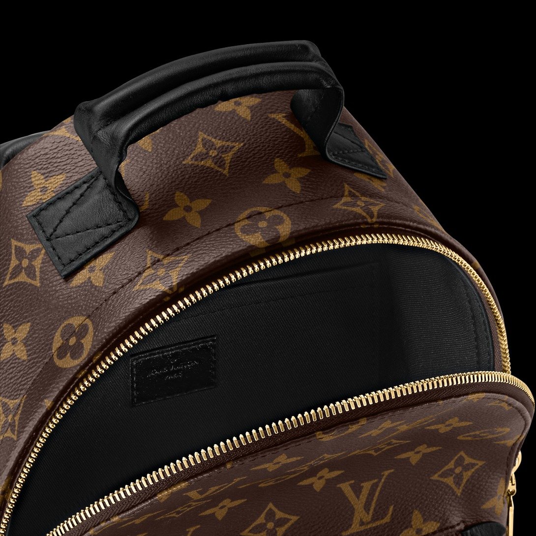 Louis Vuitton Palm Springs MM Backpack For Women M44874- 33 Cm/ 13 Inches - Image 3