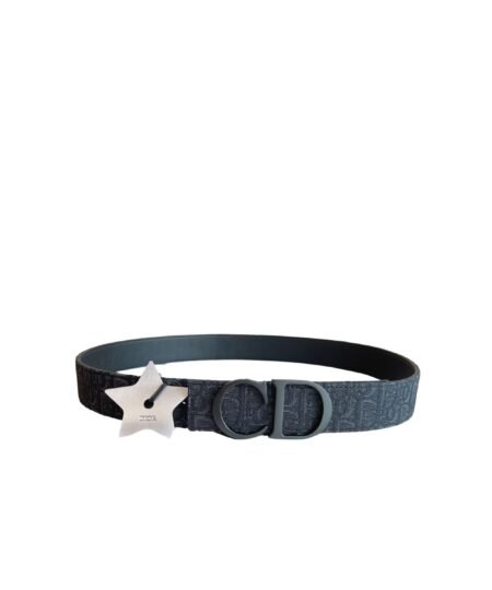 Dior Oblique 35mm Belt With CD Buckle & Star Charm Black