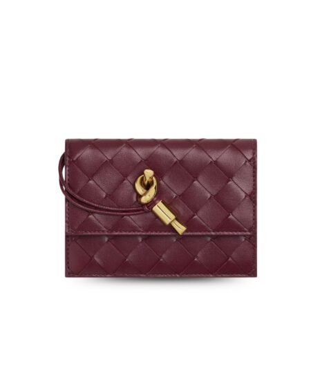 Bottega Veneta Andiamo Zipped Card Case Barolo For Women 12.5cm/4.9in 838846VCPP22250