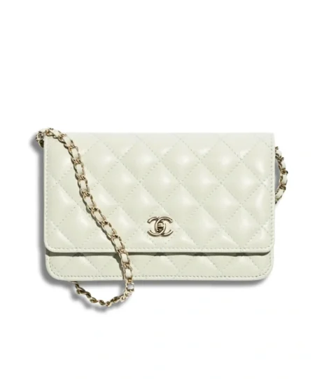 Chanel Wallet On Chain Light Green For Women 19.2cm/7.6in - AP4241-B10583-U6544