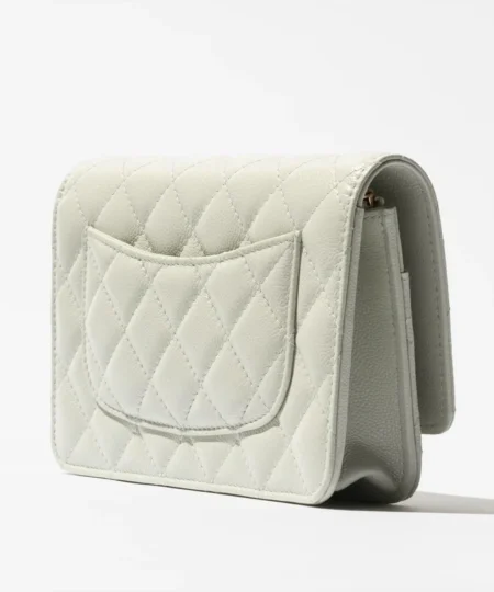 Alternative view of Chanel Wallet On Chain Light Green For Women 19.2cm/7.6in - AP4241-B10583-U6544